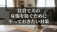 賃貸で犬の床傷を防ぐためにやっておきたい対策