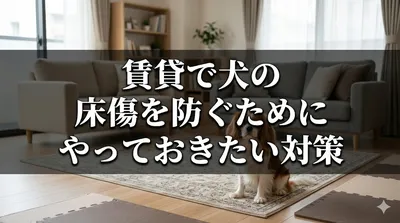 賃貸で犬の床傷を防ぐためにやっておきたい対策