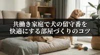 共働き家庭で犬の留守番を快適にする部屋づくりのコツ
