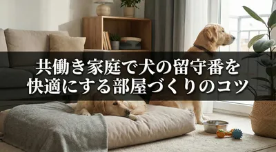 共働き家庭で犬の留守番を快適にする部屋づくりのコツ