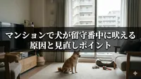マンションで犬が留守番中に吠える原因と見直しポイント