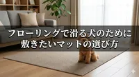 フローリングで滑る犬のために敷きたいマットの選び方