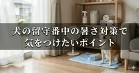 犬の留守番中の暑さ対策で気をつけたいポイント