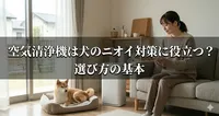 空気清浄機は犬のニオイ対策に役立つ？選び方の基本