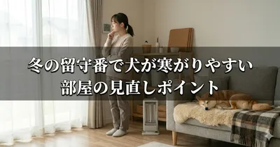 冬の留守番で犬が寒がりやすい部屋の見直しポイント
