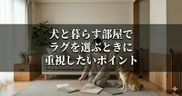 犬と暮らす部屋でラグを選ぶときに重視したいポイント