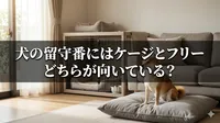 犬の留守番にはケージとフリーどちらが向いている？