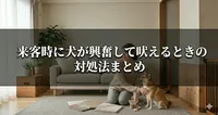 来客時に犬が興奮して吠えるときの対処法まとめ