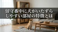 留守番中に犬がいたずらしやすい部屋の特徴とは