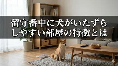 留守番中に犬がいたずらしやすい部屋の特徴とは