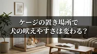 ケージの置き場所で犬の吠えやすさは変わる？