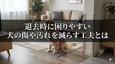 退去時に困りやすい犬の傷や汚れを減らす工夫とは
